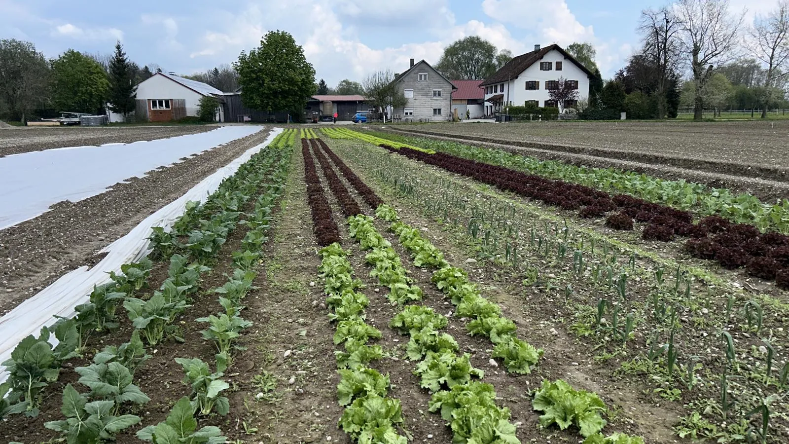 Bauernhof Wimmer`s Hofladen